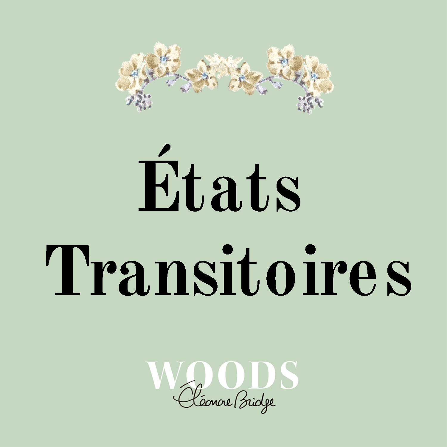 Eleonore Bridge Woods
