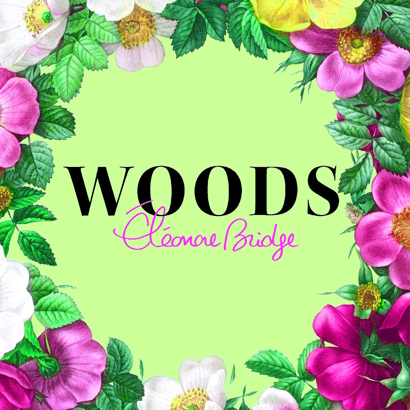 Eleonore Bridge Woods